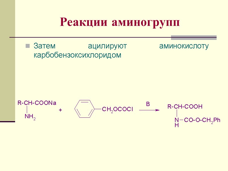 Реакции аминогрупп Затем ацилируют аминокислоту карбобензоксихлоридом